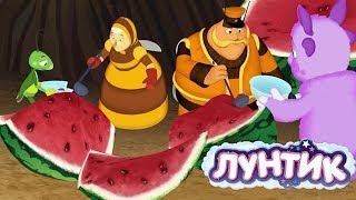 Лунтик | День арбуза 