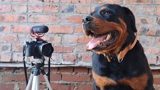 Лучшая камера для видеоблогера? FujiFilm X-T4