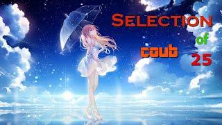Selection of Coubs № 25