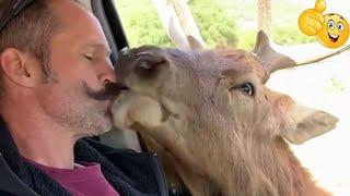 Смешные видео, приколы 2020, падения людей.