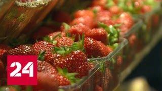 Химикаты и ускорители роста: что содержится в нелегальных овощах и фруктах - Россия 24