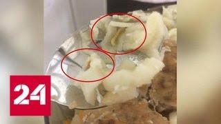 Главврач саратовской больницы не дала "Дежурной части" посмотреть на еду с паразитами - Россия 24