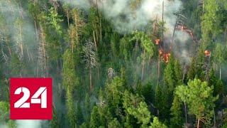 На помощь пожарным пришла авиация: как тушат лесные пожары с воздуха - Россия 24