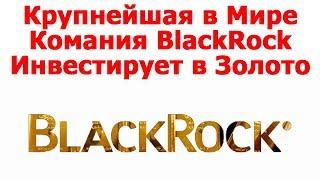 Крупнейшая в Мире Компания BlackRock Инвестирует в Золото | Новости мира