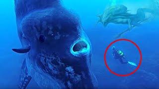 Обнародовано НЕВЕРОЯТНОЕ видео! Увиденное под водой существо шокировало! Откуда ОНИ  вылезают?