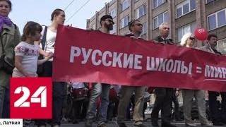 В Латвии прошли массовые манифестации в защиту русских школ - Россия 24