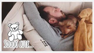 Милота ^^ для хорошего настроения!