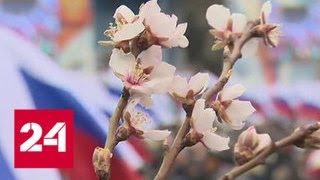В Севастополе прошел многотысячный митинг в честь Крымской весны - Россия 24