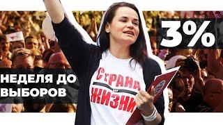 БЕЛАРУСЬ СЕГОДНЯ. Неделя до выборов: О поддержке Тихановской, Лукашенко и акциях в Бресте