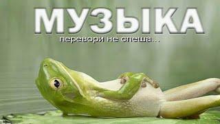 ♫ ПОЗИТИВНАЯ музыка для настроения 
