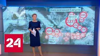 "Погода 24": совместными усилиями авиации и наземных сил в Сибири потушили 5 тысяч гектаров леса -…