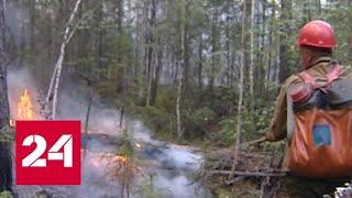 Цена бездействия: Минприроды пересмотрит границы зон контроля лесных пожаров - Россия 24