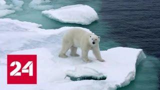 "Метановая бомба" под Арктикой: угрожает ли она планете - Россия 24