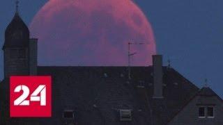 В Сети появились фотографии самого длительного в XXI веке лунного затмения - Россия 24