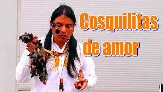 Музыка индейцев. Индеец Инти. Cosquilitas de amor (445)