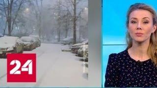 "Погода 24": похолодание в центре европейской России достигло пика - Россия 24