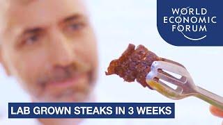 Scientists grow these cell cultured steaks in just 3 weeks