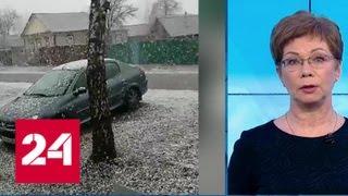 "Погода 24": Европейскую Россию снова заметает - Россия 24