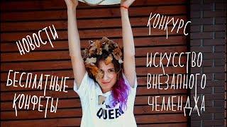 Екатерина Яшникова - новости, конкурсы, бесплатные конфеты!