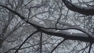 Релакс природа музыка для души и жизни 42