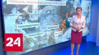 Алтайский край в дыму: режим черного неба введен в Барнауле и Бийске - Россия 24