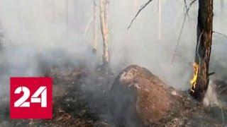 Хабаровск накрыл густой дым: на юге региона горит сухая трава и лес - Россия 24