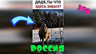 ЭТО РОССИЯ 