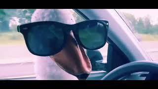 Смешные видео , приколы для настроения