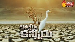 Special Story On Kolleru Lake | Andhra Pradesh | కొల్లేరు క‌న్నీరు | Sakshi TV