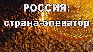 Русская экспансия: ячмень