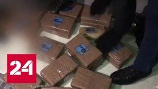В Петербурге полиция обнаружила 50 килограммов кокаина в рефрижераторе с бананами - Россия 24
