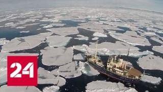 Возвращение на лед: российская платформа станет мировым центром изучения Арктики - Россия 24