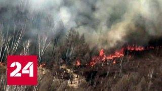 В Сибири и на Дальнем Востоке продолжается борьба с лесными пожарами - Россия 24
