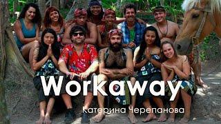 Workaway: волонтерство в обмен на жилье и еду. Катерина Черепанова