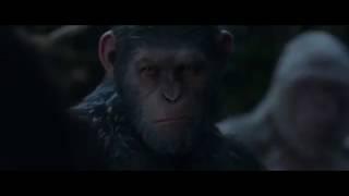 Планета обезьян: Война (2017) боевик 2020 Кино новинка