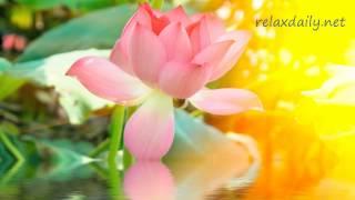 relaxdaily N°047 – Музыка Дзен – сосредоточение, обучение, медитация