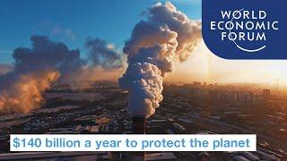 $140 billion a year to protect 30% of the planet from destruction | Ways to Change the World