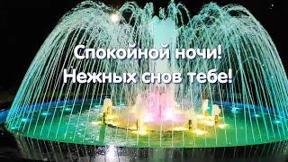 Спокойной ночи! Нежных снов тебе! 