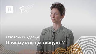 Ископаемые клещи — Екатерина Сидорчук