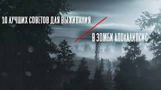 10 лучших советов для выживания в зомби апокалипсис