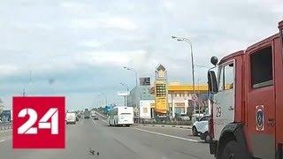 Подмосковный пожарный перекрыл шоссе ради утки с утятами - Россия 24