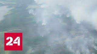 Природные пожары в Якутии будут тушить с помощью искусственного дождя - Россия 24