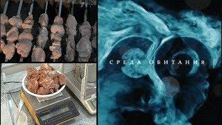 Ели мясо мужики - Среда обитания | Документальный фильм