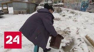 Жители одного из домов в Балашихе живут без удобств с 30-х годов прошлого столетия - Россия 24