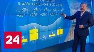 "Погода 24": В Приамурье объявлено штормовое предупреждение - Россия 24