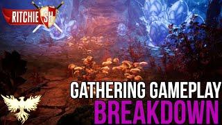Ashes of Creation MMORPG – Breaking Down NEW Gathering Profession Gameplay!