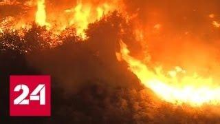 Американские политики ищут виноватых в лесных пожарах - Россия 24