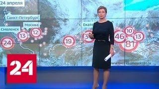 "Погода 24": воздух в Москве впервые в этом году прогрелся выше 20 градусов - Россия 24