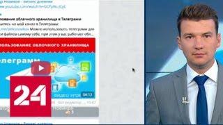 Telegram согласился выдавать телефоны и IP подозреваемых в терроризме - Россия 24