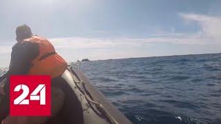 Задержанных в Японском море браконьеров доставили в порт Находка - Россия 24